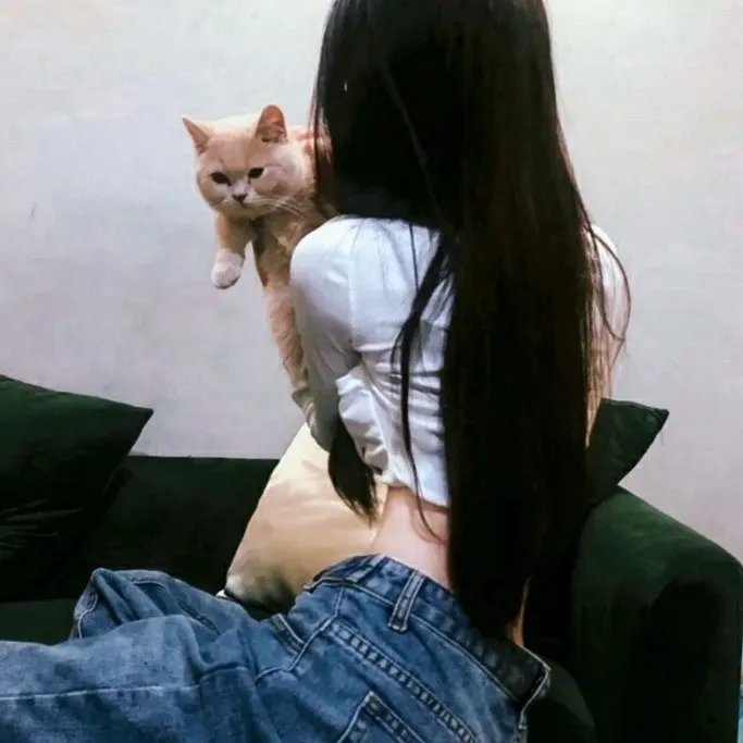 修女也疯狂在线观看封面